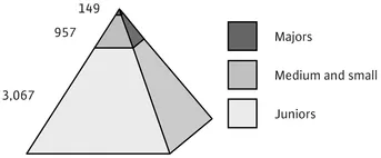 FIGURE 1.3 Number of mining and exploration companies 2006 Source: Raw Materials Data, Stockholm, 2008