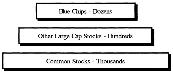Figure 1.8 Canadian Stock Market Hierarchy