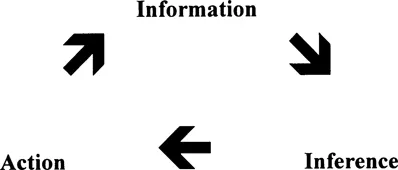 Figure 1.1 Investigation Cycle Giving Rise to Field of Investigative Psychology