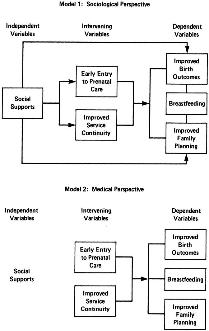 Figure 1.1 Alternative Models for Research and Intervention to Improve Maternal and Child Health