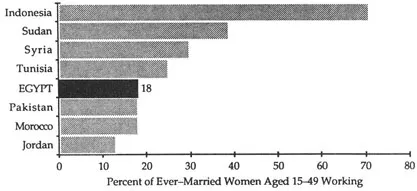 FIGURE 1.3 Rural Female Employment, Selected Countries
Source: U.N., Dept. of International Economic and Social Affairs, 1985:30.