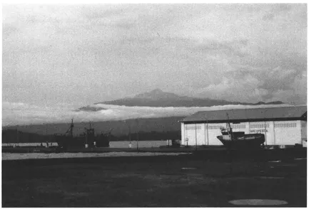 Pico de Basilé viewed from the port of Malabo, Bioko. (Photo courtesy Frank Ruddy)
