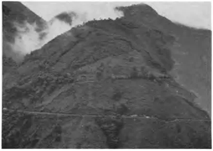 Plate 7 Rainfed highlands, largely cleared of forest, Colombian Andes (W. M. Denevan, 1977).