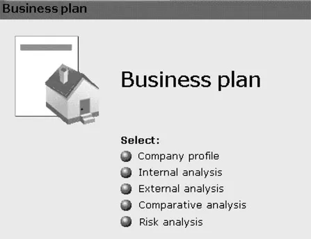 Figure 1.1 Business plan Visionplanner