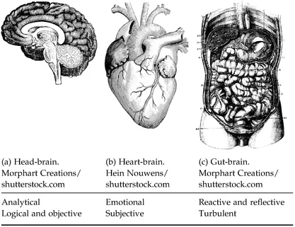 Figure 1. The physical brain, heart-brain, and gut-brain.