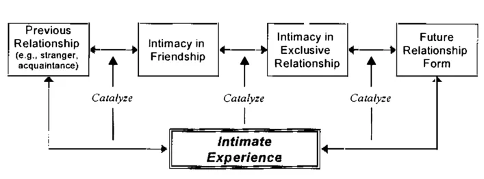 FIG. 1.1. Operational concepts of intimacy.