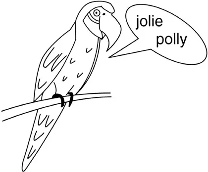 Figure 1.1 Parrot