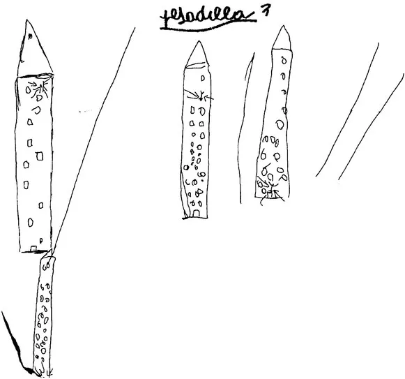 FIGURE 1 Pesadilla [Nightmare]