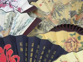 Figure 1.1 Chinese fans—the beauty of diversity