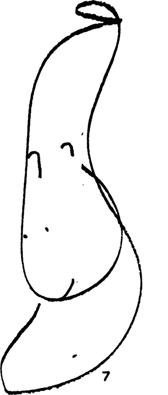fig0006