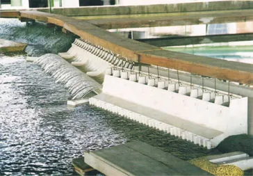 Figure 1.2 Tucuruí HPP (Brazil). Partial view of the three-dimensional model (scale 1:150).