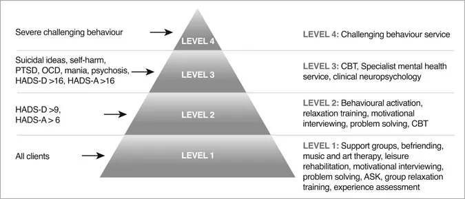Figure 1.1 A revised model for stepped psychological care after stroke