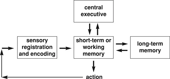 Fig. 1.2. The main components of a simple information-processing model.