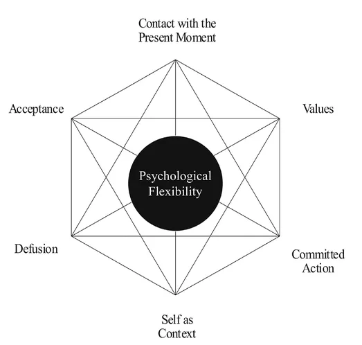 Figure 2.1 The six psychological flexibility processes. Source: Copyright Steven C. Hayes. Used by permission.