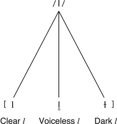 Figure B1.1 Chief allophones of English /l/