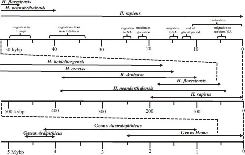 Figure 1.1