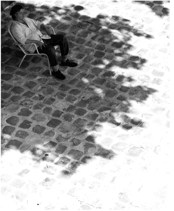 Opposite page Dappled sunlight illustrates the natural contrast between light and shadow.