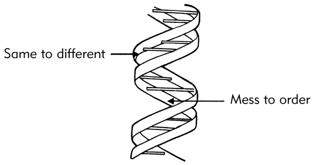 Figure 1.1
Swirls of NDP and EPR