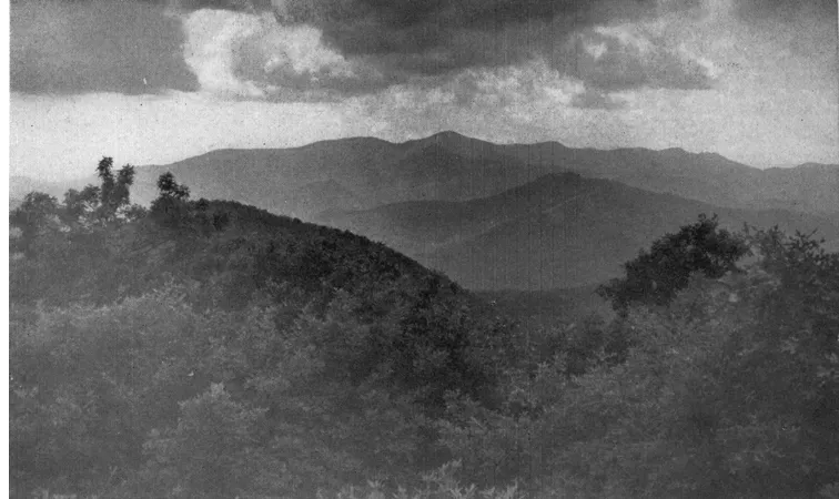 BRASSTOWN BALD, FROM TRAY MOUNTAIN