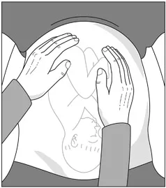 Figure 1 Fundal palpation