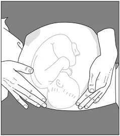 Figure 3 Two-handed palpation
