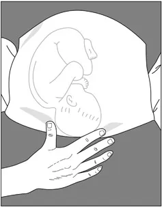 Figure 4 Pawlic’s grip