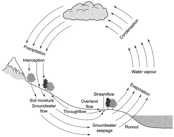 Figure 1.1 The hydrological cycle (Ward 8t Robinson, 2000)