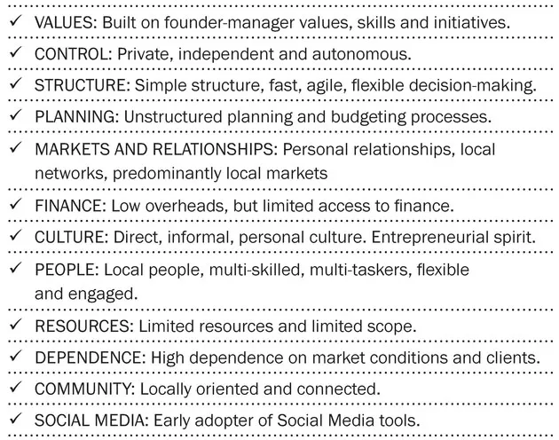 FIGURE 1. key characteristics of SMEs