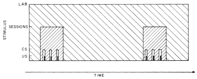 FIG. 1.1. Schematic representation of the hierarchical structure of contexts in a Pavlovian-conditioning experiment. (After Balsam, 1984; copyright Ballinger Publishing Company. Adapted with permission.)