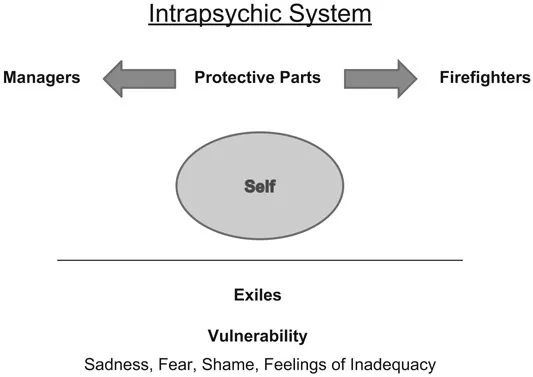 Figure 1.1 Intrapsychic System