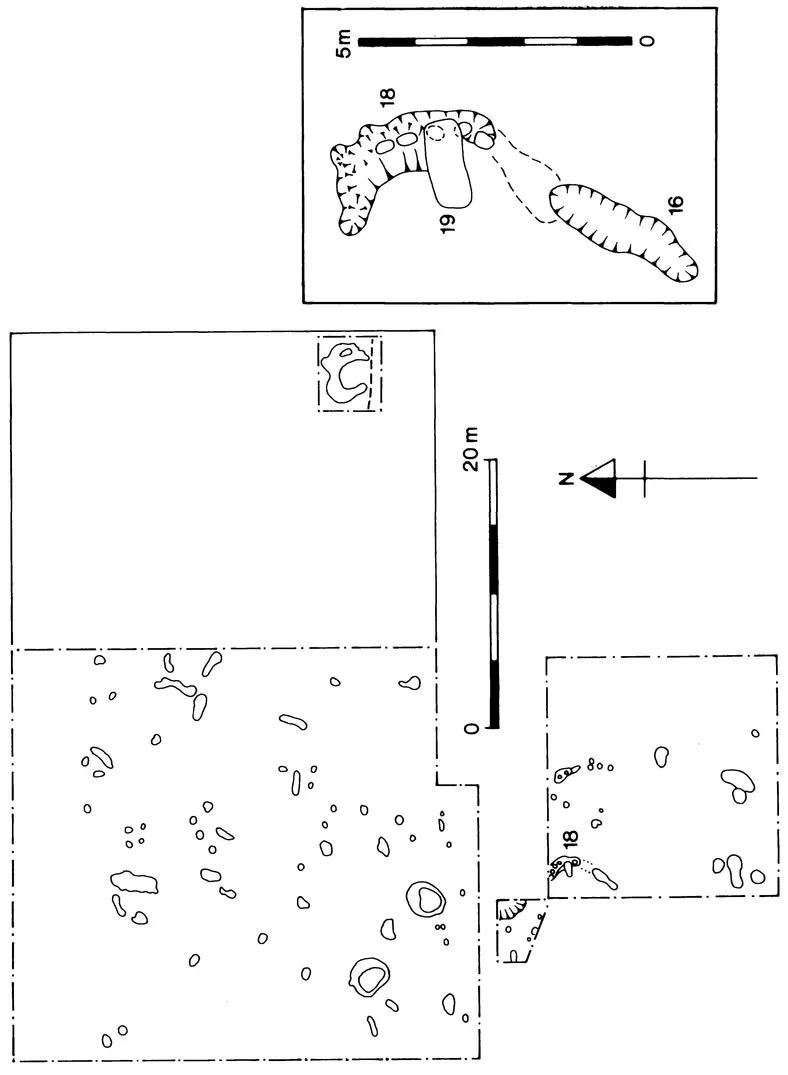 FIG. 2 Tattershall Thorpe: Site plan