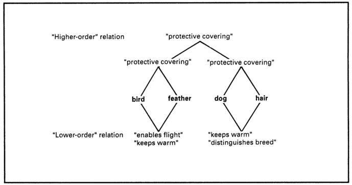 FIG, 1.2. The traditional view of the two sets of relations in an analogy.