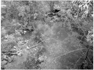 Figure 1.2 Polluted waters