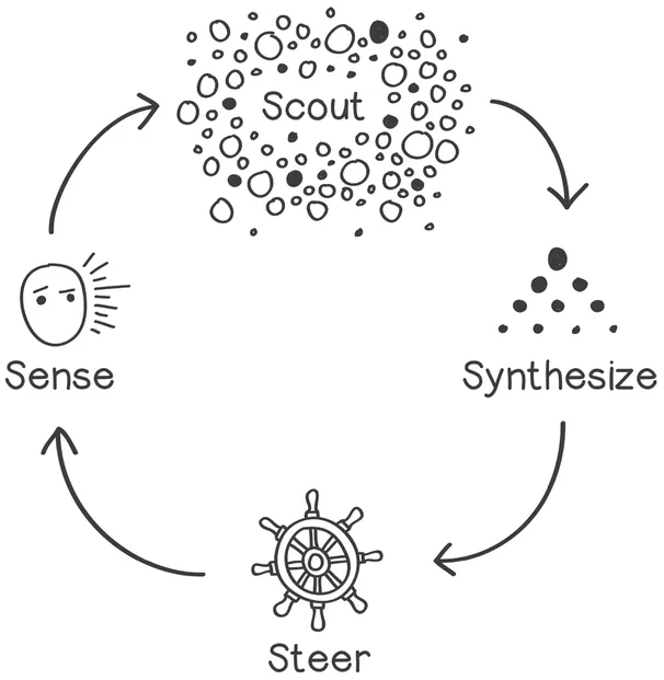 FIGURE 3. Sustainability leaders need to sense, scout, synthesize, and steer.