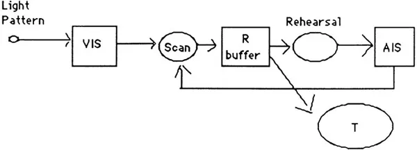FIG. 1.1. Sperling’s (1967) model of performance in the partial-report paradigm.