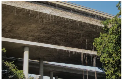 Figure 1.5. The vine-dripped freeways are modern LA’s equivalent of the Roman aqueducts.