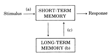 FIGURE 1 Some information processing components of meaningful learning. Condition (a) is transfer of new information from outside to short-term memory. Condition (b) is availability of assimilative context in long-term memory. Condition (c) is activation and transfer of old knowledge from long-term memory to short-term memory.