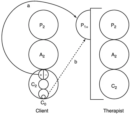 Figure 4.1 Projective and introjective transferences (based on Moiso 1985).