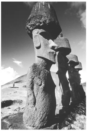 FIGURE 1.1 Moai at Easter Island Source: reproduced with permission from Jan Boersema