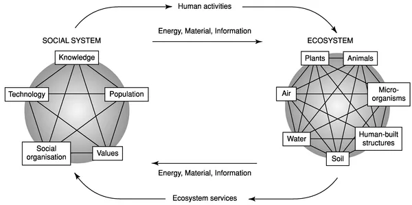 Figure 1.2 The interactive relationship between an ecosystem and a human social system (after Marten, 2001)