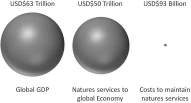 FIGURE 1. Comparison of global GDP, economic value of natures services and costs to maintain (per annum).