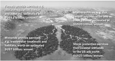 FIGURE 2. Estimated market values for a sample of nature’s services (base years vary).3
SOURCE: Image from Shutterstock, used under standard Content Usage Agreement
