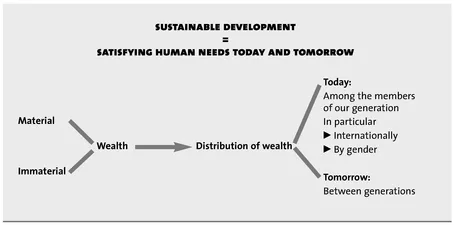 Figure 1.1 The goal: sustainable development