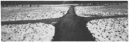 Paris. Bois de Vincennes. 1987. Β© Josef Koudelka/Magnum