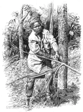 According to Lawa tradition, when clearing a swidden, the actual tree-cutting is done by women Sketch based on a photo by Dietrich Schmidt-Vogt