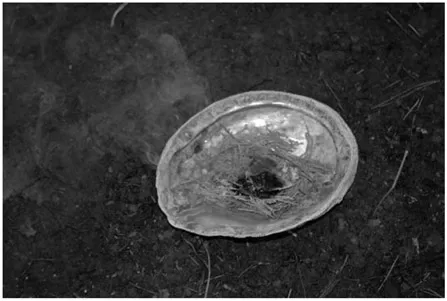 PHOTO 1.3. Flat cedar and sage in an abalone shell.