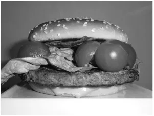 Figure 1.0 The ubiquitous hamburger.