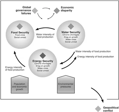 Figure 1. The energy–water–food nexus.