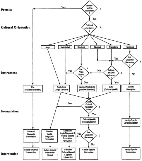 FIG. 1.1. Multicultural assessment-intervention model.