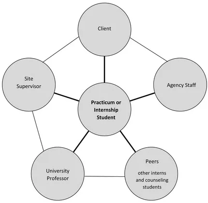 Figure 1.1 Important Relationships for the Developing Professional